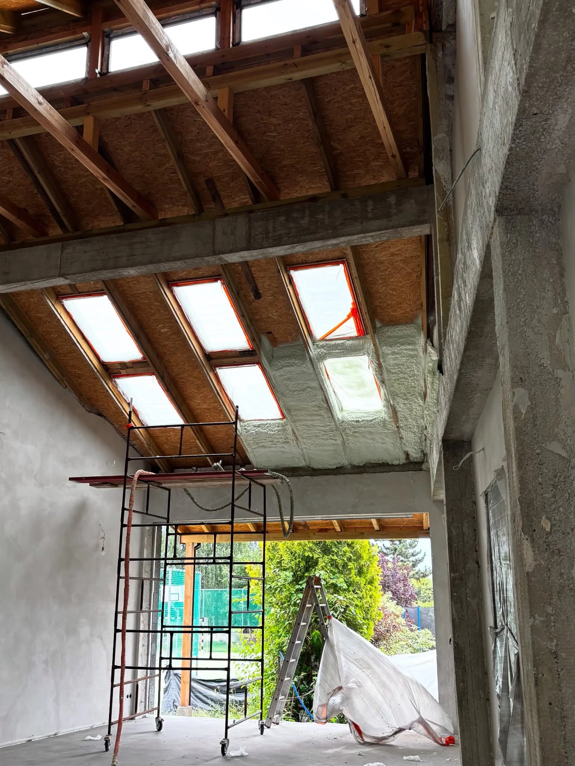 Czy Twoje poddasze oddycha? Prawda o pleśni i alergiach.